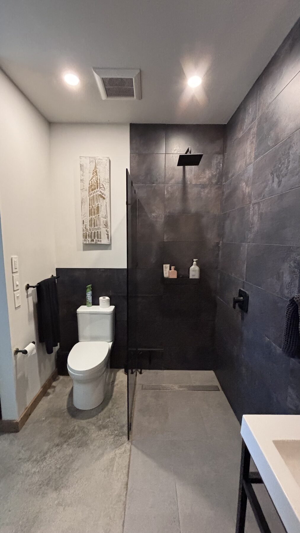 Walk-in shower with dark tile